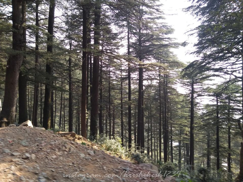 Photo of Gallu Devi Temple, Trail to Triund Hill, Dharamshala, Himachal Pradesh, India by Hrishikesh Baruah