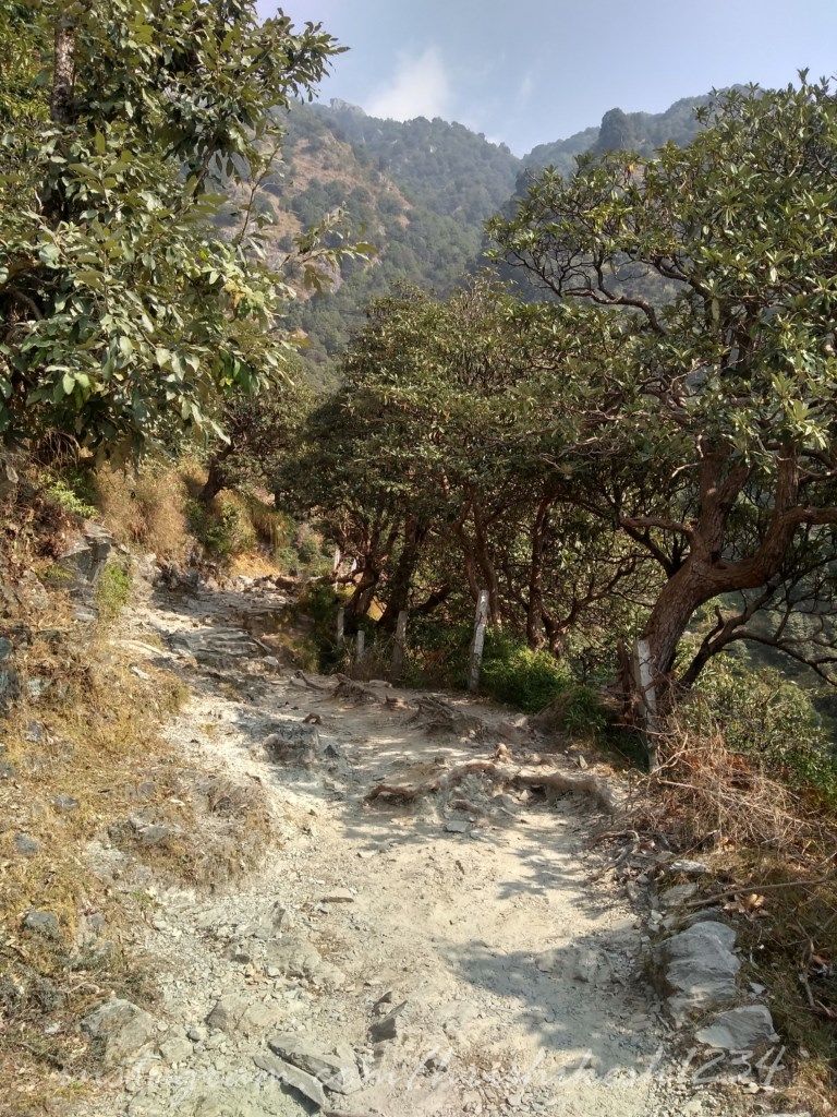 Photo of Triund: Your Gateway to the World of Himalayan Trekking by Hrishikesh Baruah