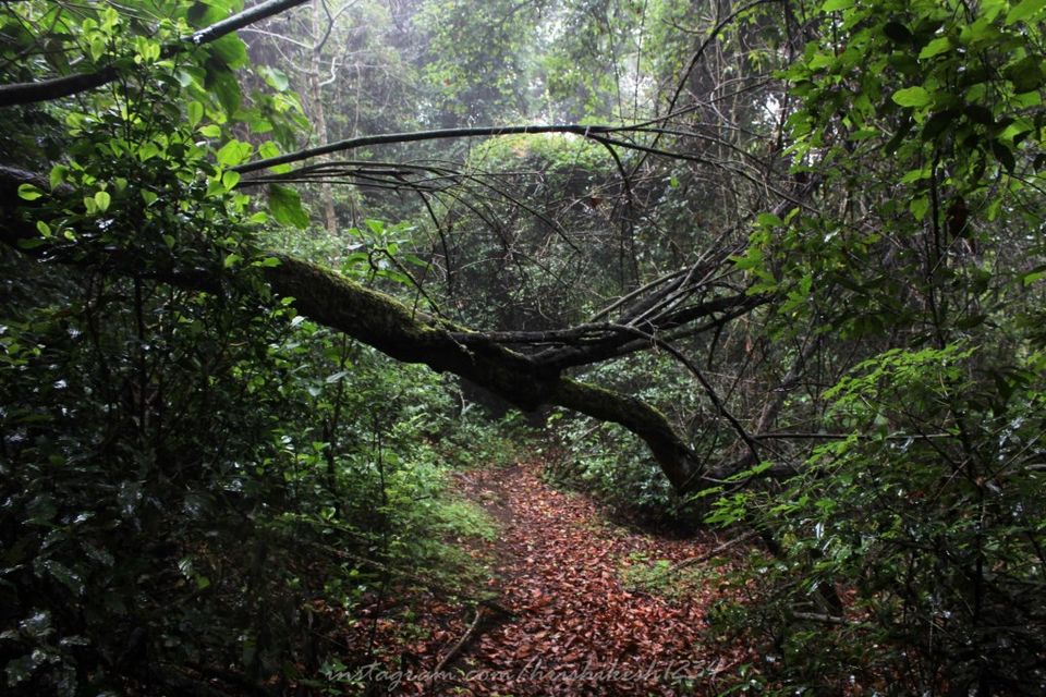 Photo of Kookal, The Hidden Hamlet of Kodaikanal by Hrishikesh Baruah