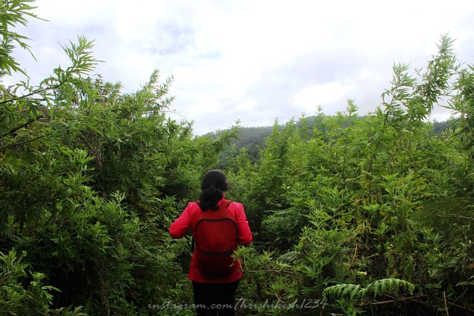 Photo of Kookal, The Hidden Hamlet of Kodaikanal by Hrishikesh Baruah