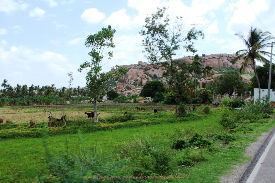 Photo of Hippity-Hoppity in Hampi by Hrishikesh Baruah