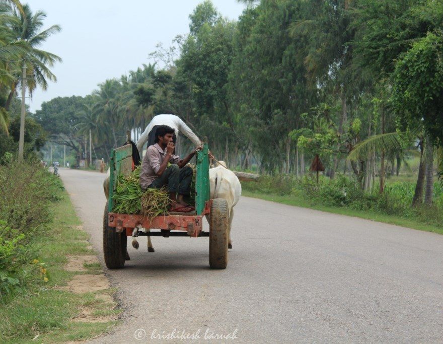 Photo of Our Bike Ride to Somanathapura & Talakadu by Hrishikesh Baruah