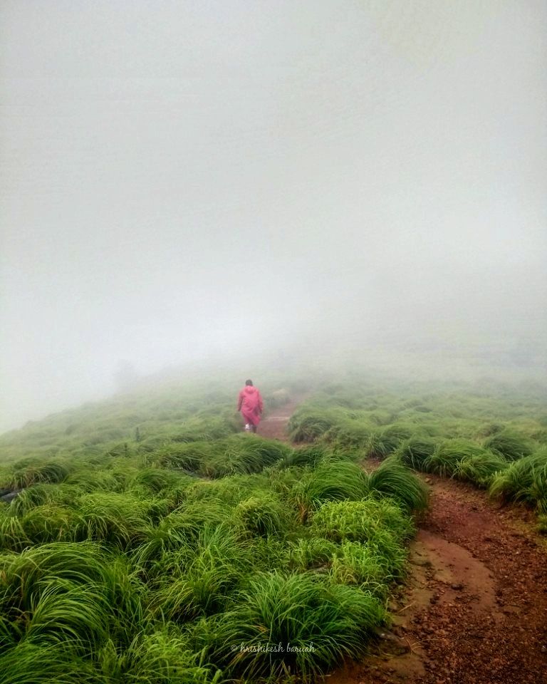 Photo of The Clouds Beneath My Feet: My Exploration Trek to Paithalmala by Hrishikesh Baruah