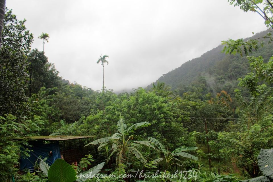 Photo of The Clouds Beneath My Feet: My Exploration Trek to Paithalmala 2/30 by Hrishikesh Baruah