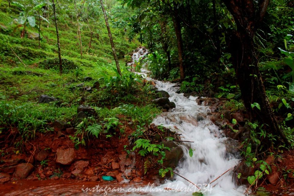 Photo of The Clouds Beneath My Feet: My Exploration Trek to Paithalmala 3/30 by Hrishikesh Baruah