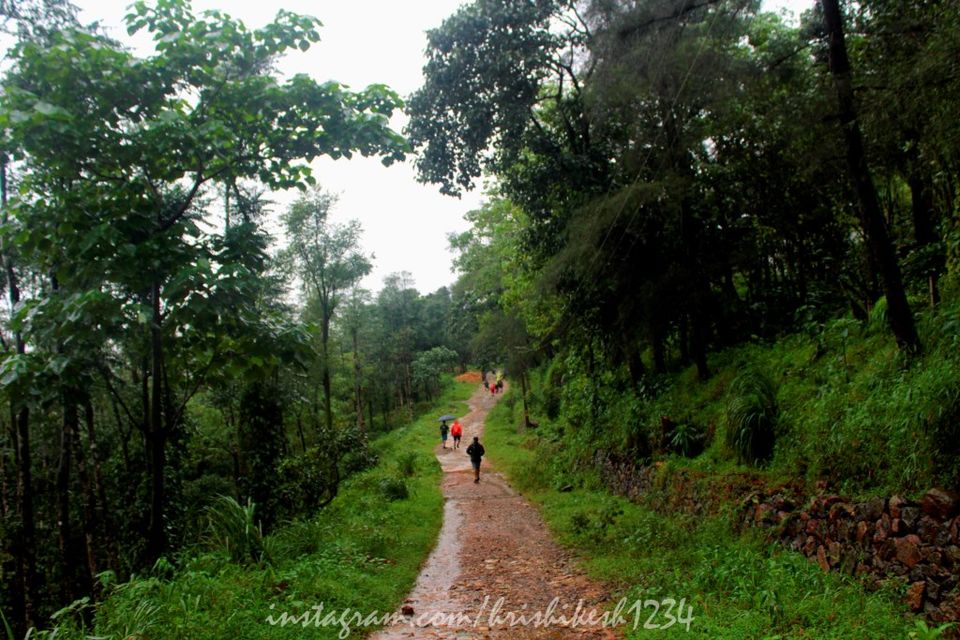 Photo of The Clouds Beneath My Feet: My Exploration Trek to Paithalmala 4/30 by Hrishikesh Baruah