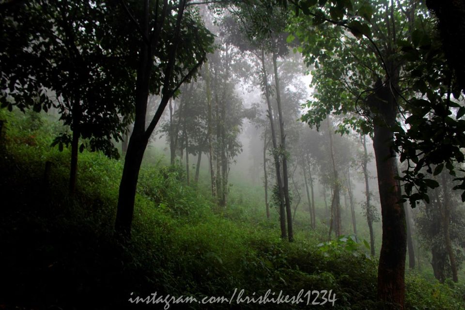 Photo of The Clouds Beneath My Feet: My Exploration Trek to Paithalmala 5/30 by Hrishikesh Baruah