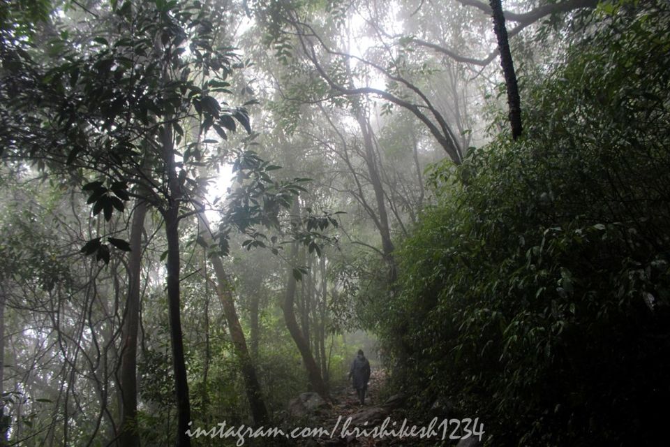 Photo of The Clouds Beneath My Feet: My Exploration Trek to Paithalmala 6/30 by Hrishikesh Baruah