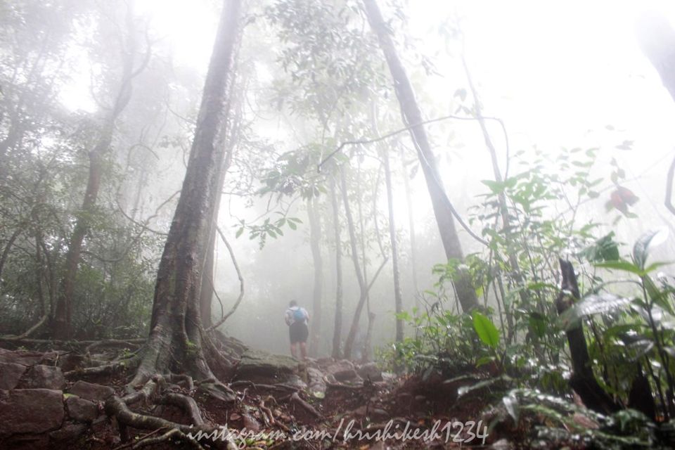 Photo of The Clouds Beneath My Feet: My Exploration Trek to Paithalmala 18/30 by Hrishikesh Baruah