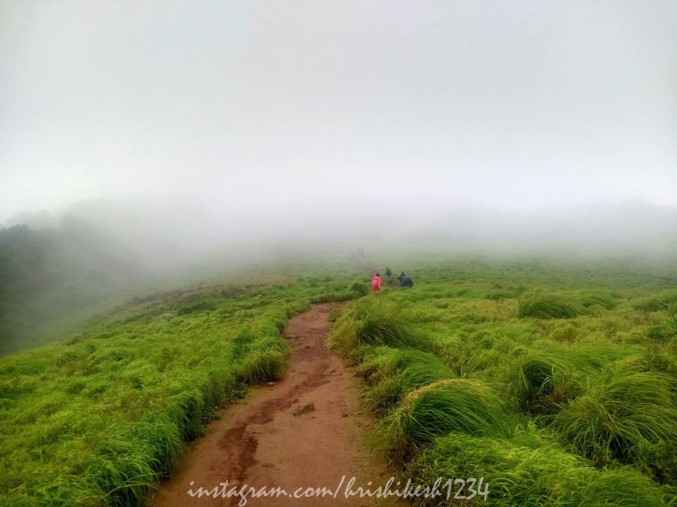 Photo of The Clouds Beneath My Feet: My Exploration Trek to Paithalmala 12/30 by Hrishikesh Baruah