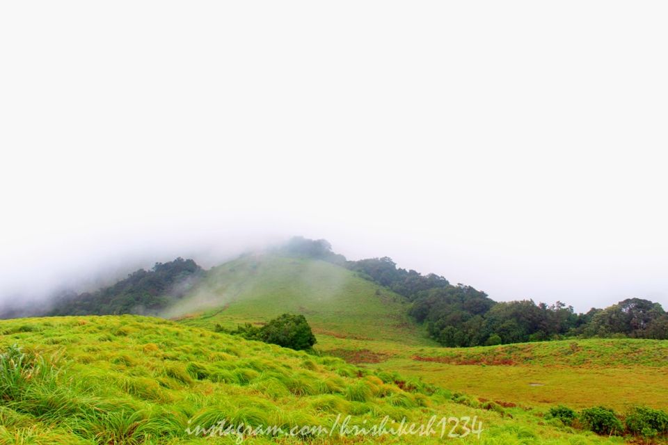 Photo of The Clouds Beneath My Feet: My Exploration Trek to Paithalmala 9/30 by Hrishikesh Baruah