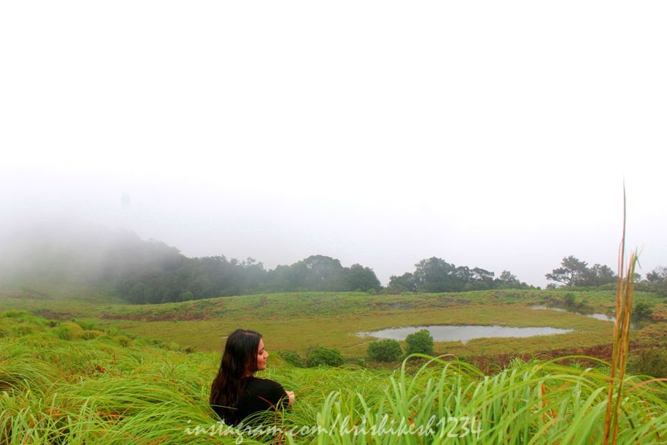 Photo of The Clouds Beneath My Feet: My Exploration Trek to Paithalmala 10/30 by Hrishikesh Baruah