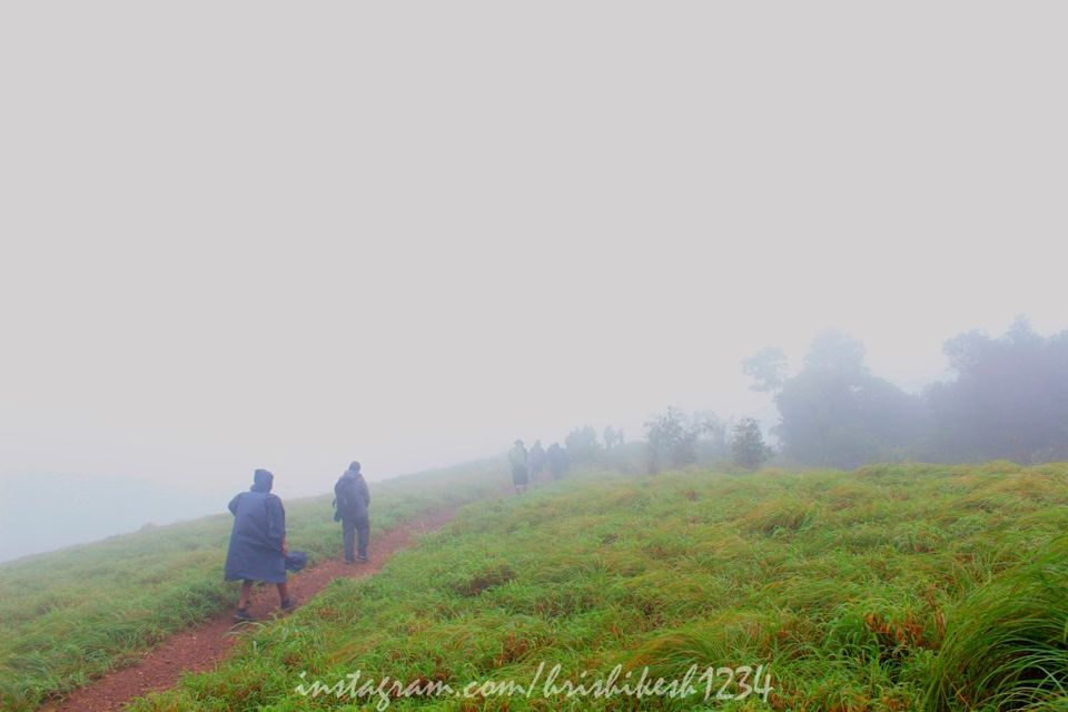 Photo of The Clouds Beneath My Feet: My Exploration Trek to Paithalmala 11/30 by Hrishikesh Baruah
