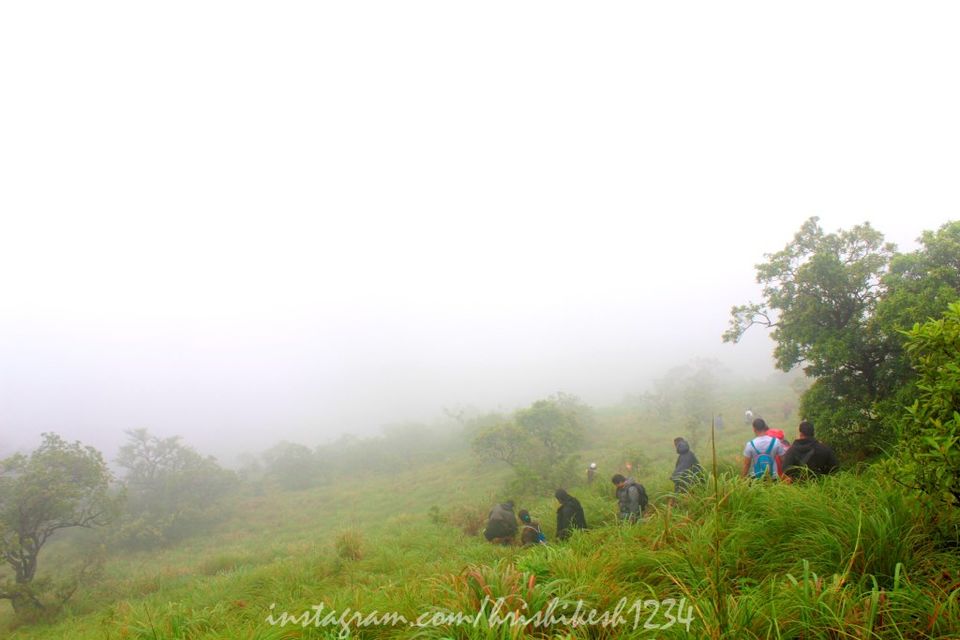 Photo of The Clouds Beneath My Feet: My Exploration Trek to Paithalmala 13/30 by Hrishikesh Baruah