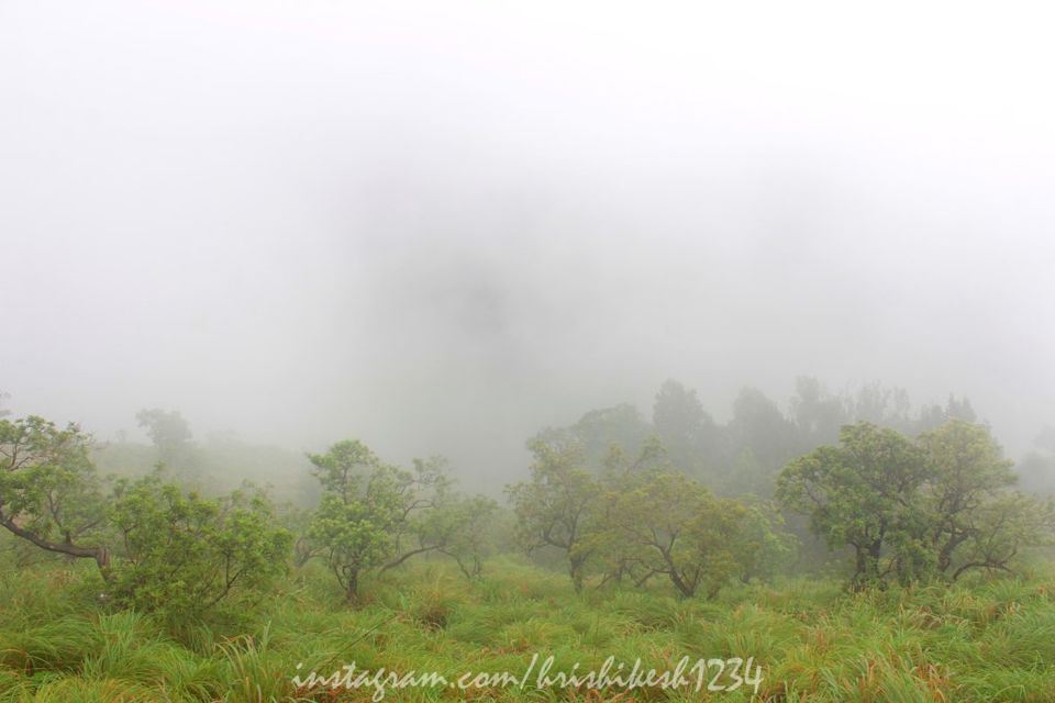 Photo of The Clouds Beneath My Feet: My Exploration Trek to Paithalmala 14/30 by Hrishikesh Baruah