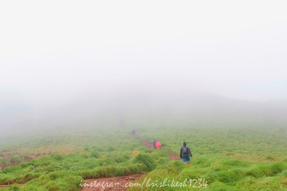 Photo of The Clouds Beneath My Feet: My Exploration Trek to Paithalmala 17/30 by Hrishikesh Baruah