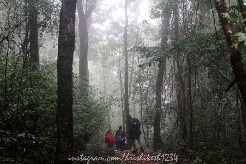 Photo of The Clouds Beneath My Feet: My Exploration Trek to Paithalmala 19/30 by Hrishikesh Baruah