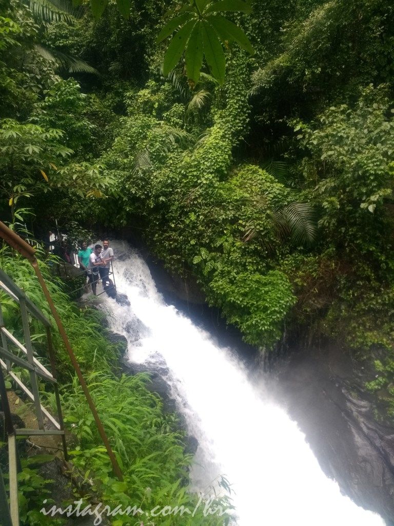 Photo of The Clouds Beneath My Feet: My Exploration Trek to Paithalmala 20/30 by Hrishikesh Baruah