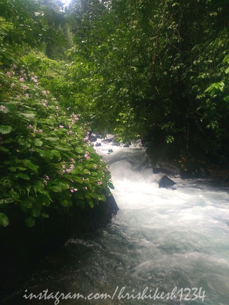 Photo of The Clouds Beneath My Feet: My Exploration Trek to Paithalmala 23/30 by Hrishikesh Baruah