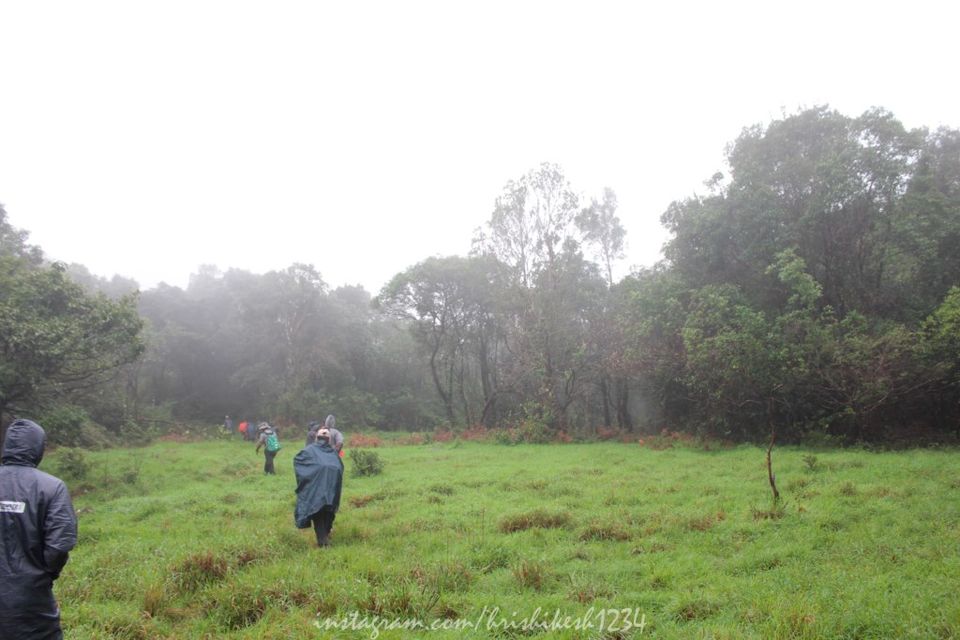Photo of Lesser Known Trail of Western Ghats: My Trek to Jenukallu Gudda, Deepadakallu Gudda, & Ettina Bhuja by Hrishikesh Baruah