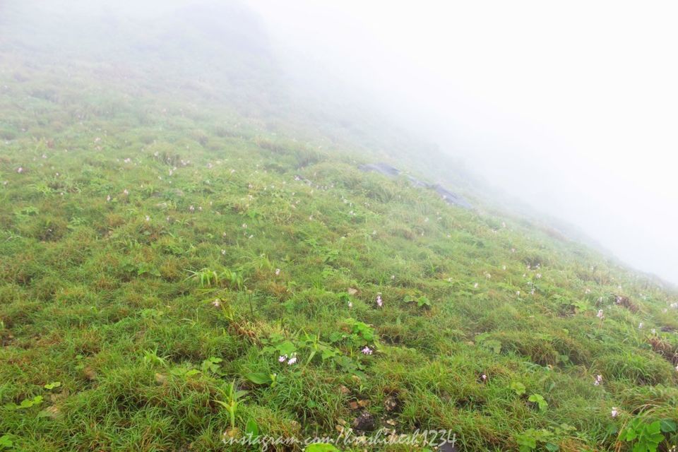 Photo of Lesser Known Trail of Western Ghats: My Trek to Jenukallu Gudda, Deepadakallu Gudda, & Ettina Bhuja by Hrishikesh Baruah