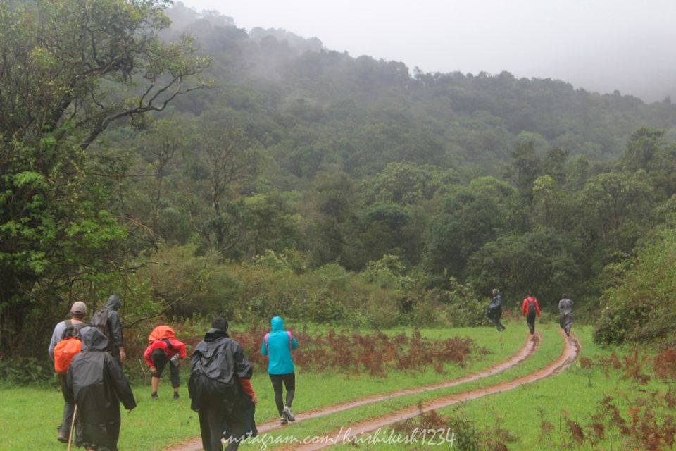 Photo of Lesser Known Trail of Western Ghats: My Trek to Jenukallu Gudda, Deepadakallu Gudda, & Ettina Bhuja by Hrishikesh Baruah