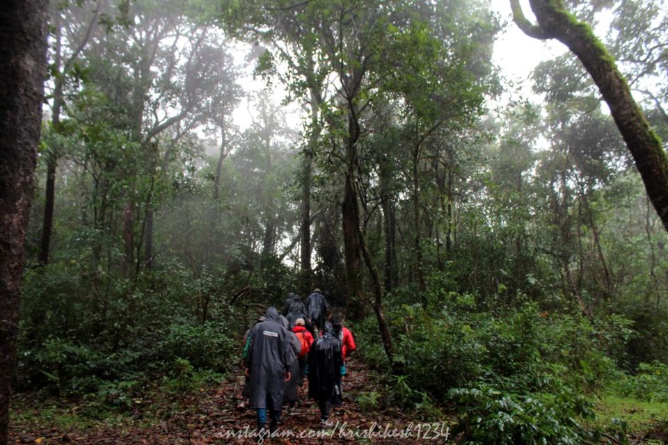 Photo of Lesser Known Trail of Western Ghats: My Trek to Jenukallu Gudda, Deepadakallu Gudda, & Ettina Bhuja by Hrishikesh Baruah