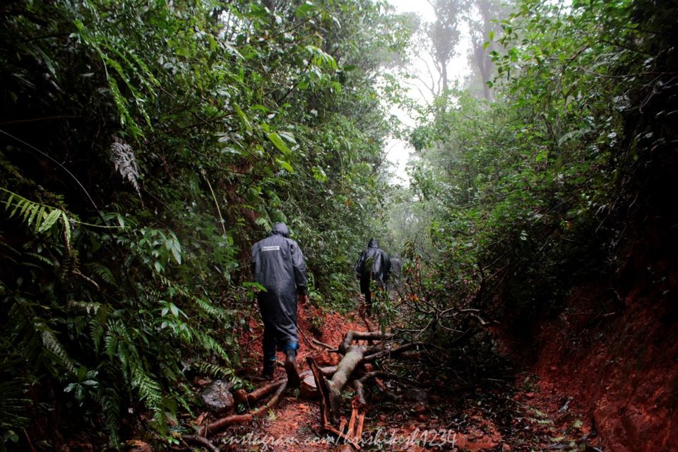 Photo of Lesser Known Trail of Western Ghats: My Trek to Jenukallu Gudda, Deepadakallu Gudda, & Ettina Bhuja by Hrishikesh Baruah