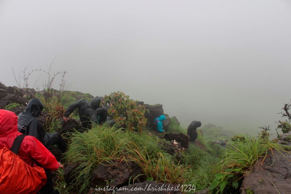 Photo of Lesser Known Trail of Western Ghats: My Trek to Jenukallu Gudda, Deepadakallu Gudda, & Ettina Bhuja by Hrishikesh Baruah