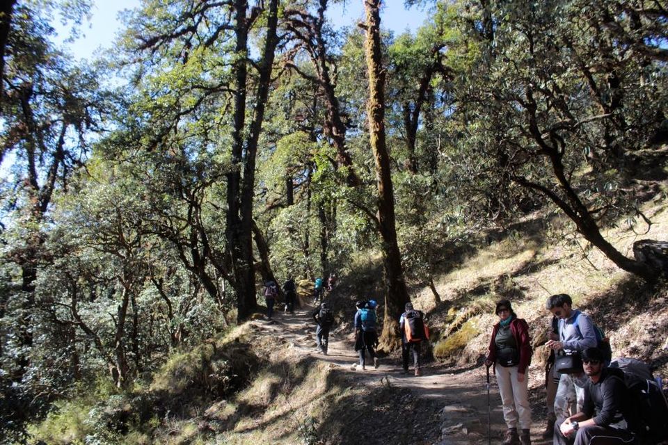 Photo of Walking With the Biggies: My Winter Romp to Brahmatal by Hrishikesh Baruah