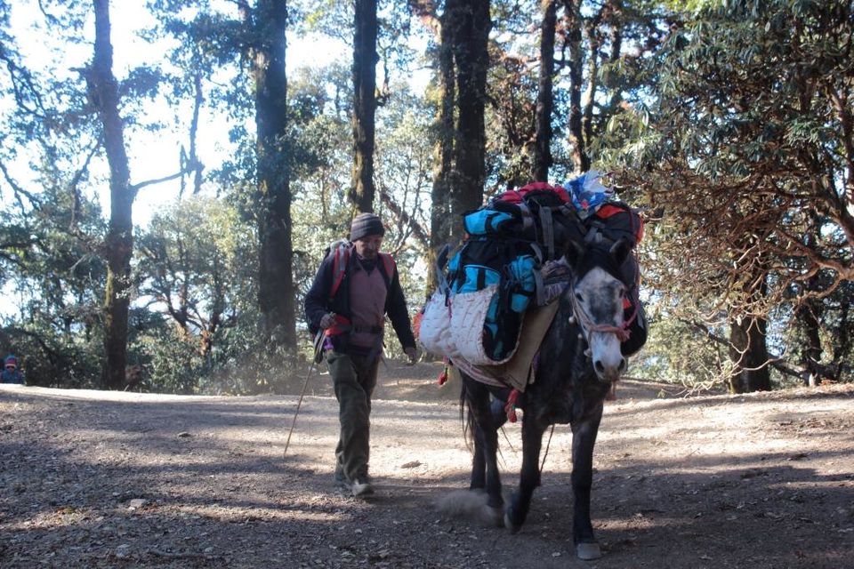 Photo of Walking With the Biggies: My Winter Romp to Brahmatal by Hrishikesh Baruah