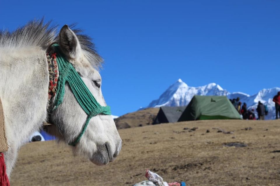 Photo of BrahmaTal, Uttarakhand, India by Hrishikesh Baruah