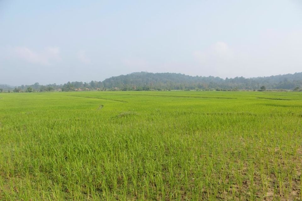 Photo of Wanna Get Wander-Lost? Then Trek to Narasimha Parvata 1/2 by Hrishikesh Baruah