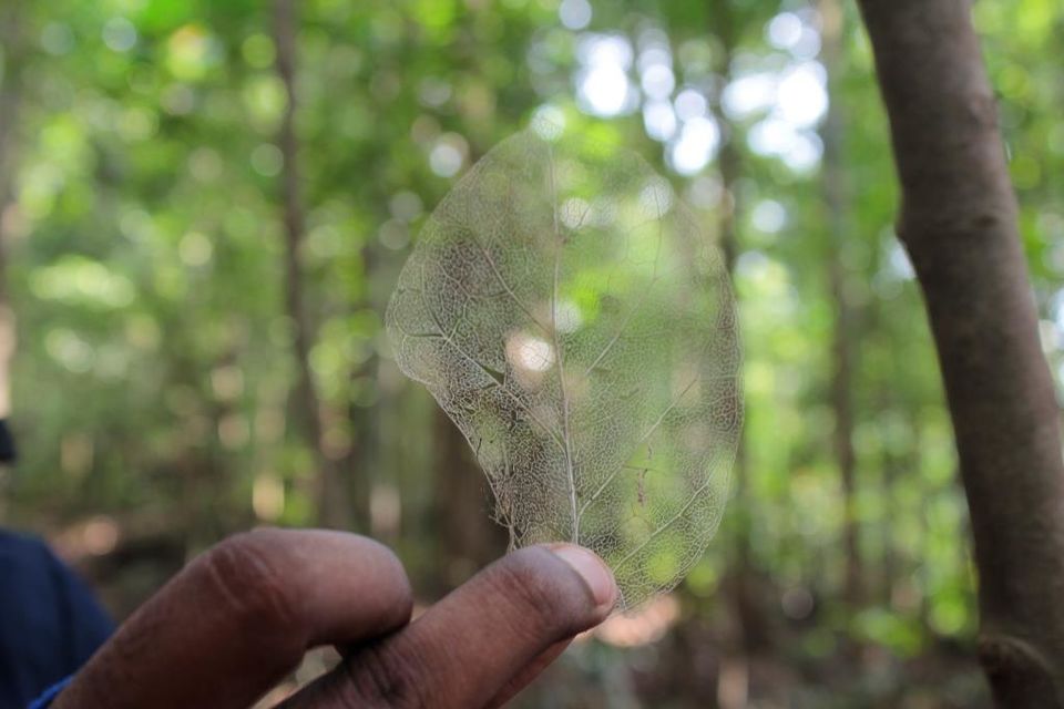 Photo of Wanna Get Wander-Lost? Then Trek to Narasimha Parvata 2/2 by Hrishikesh Baruah