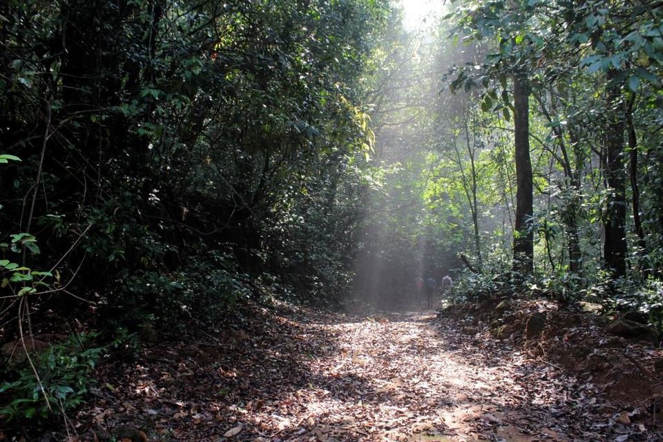Photo of Agumbe, Karnataka, India by Hrishikesh Baruah