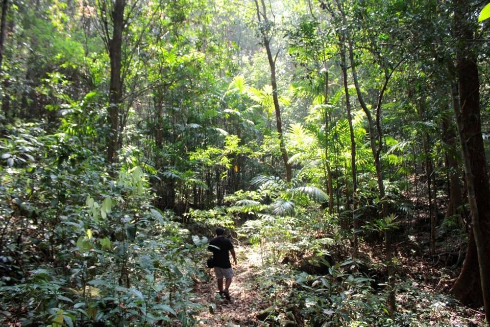 Photo of Agumbe, Karnataka, India by Hrishikesh Baruah