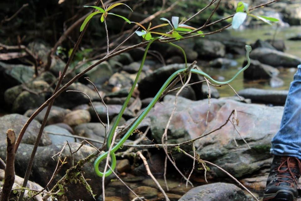 Photo of Wanna Get Wander-Lost? Then Trek to Narasimha Parvata by Hrishikesh Baruah
