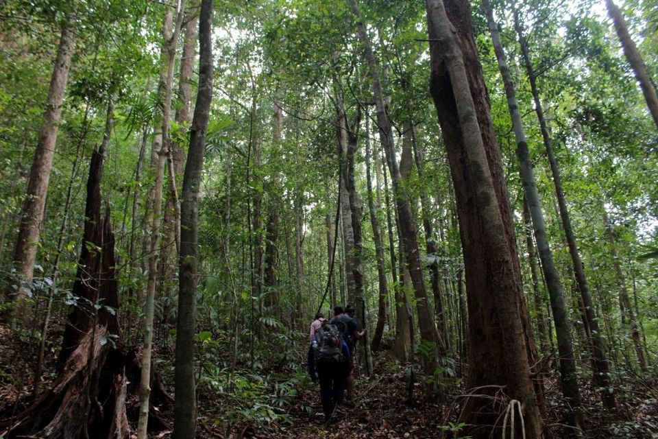 Photo of Wanna Get Wander-Lost? Then Trek to Narasimha Parvata by Hrishikesh Baruah