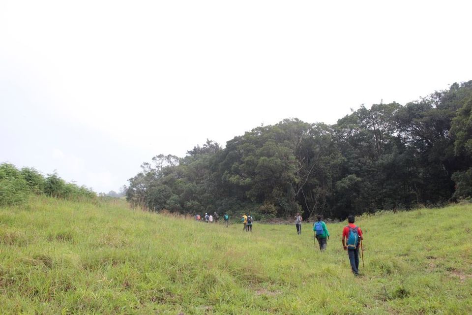 Photo of Wanna Get Wander-Lost? Then Trek to Narasimha Parvata by Hrishikesh Baruah