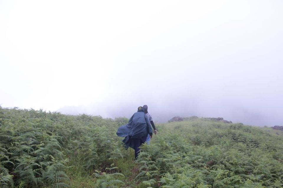 Photo of Wanna Get Wander-Lost? Then Trek to Narasimha Parvata by Hrishikesh Baruah