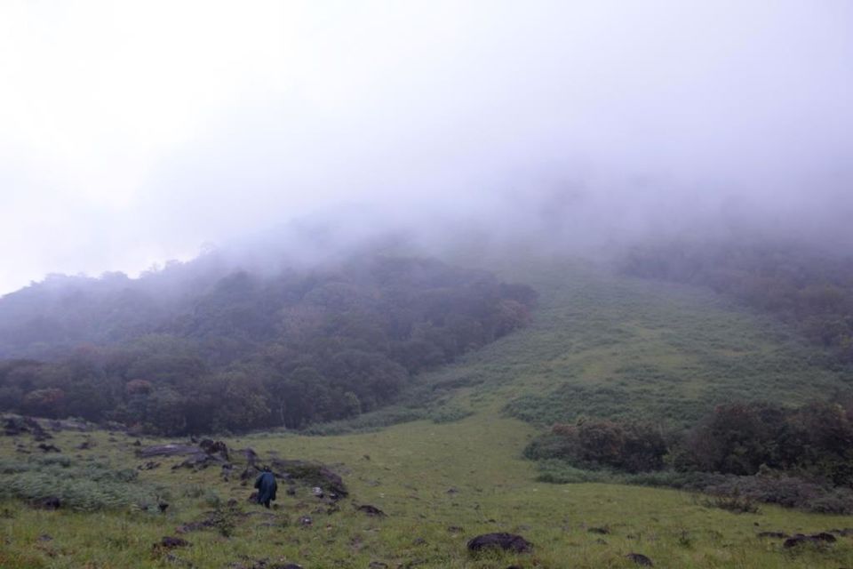 Photo of Wanna Get Wander-Lost? Then Trek to Narasimha Parvata by Hrishikesh Baruah