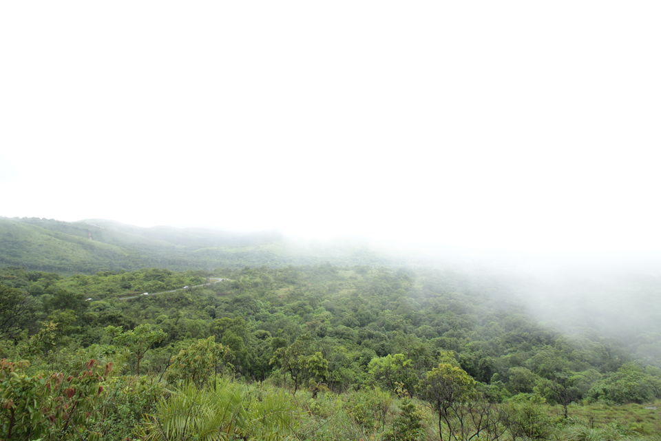 Photo of Magic of the Charmadi Ghats: My Monsoon Trek to Eri Kallu 1/17 by Hrishikesh Baruah
