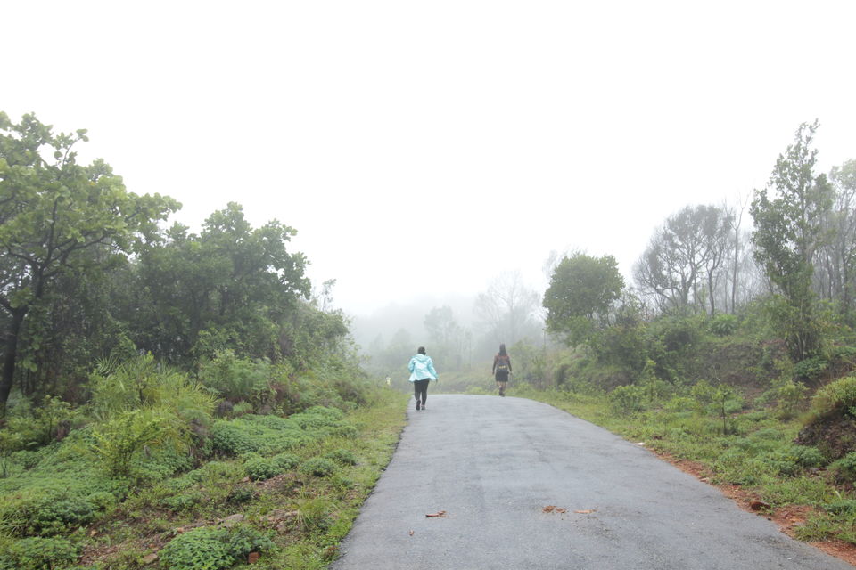 Photo of Magic of the Charmadi Ghats: My Monsoon Trek to Eri Kallu 2/17 by Hrishikesh Baruah