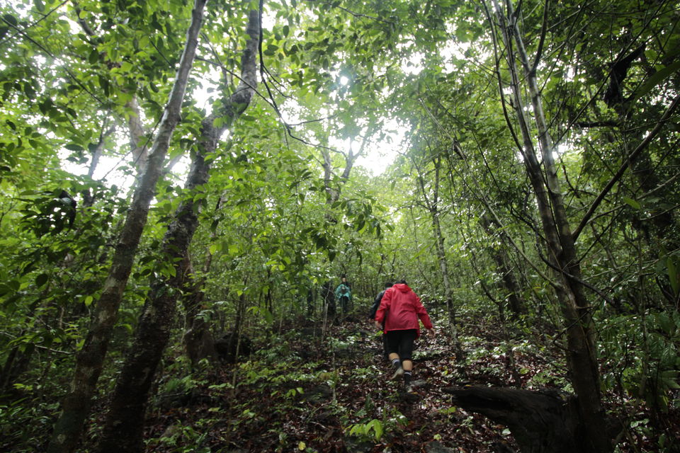 Photo of Magic of the Charmadi Ghats: My Monsoon Trek to Eri Kallu 4/17 by Hrishikesh Baruah