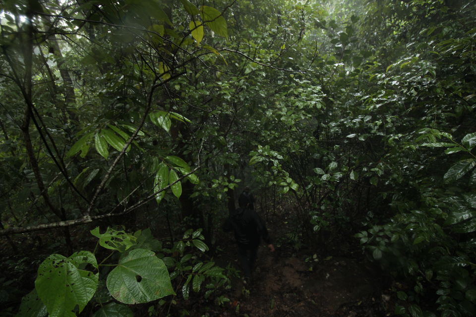 Photo of Magic of the Charmadi Ghats: My Monsoon Trek to Eri Kallu 5/17 by Hrishikesh Baruah