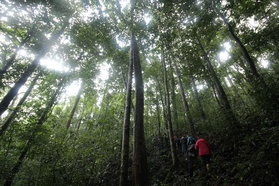 Photo of Magic of the Charmadi Ghats: My Monsoon Trek to Eri Kallu 7/17 by Hrishikesh Baruah