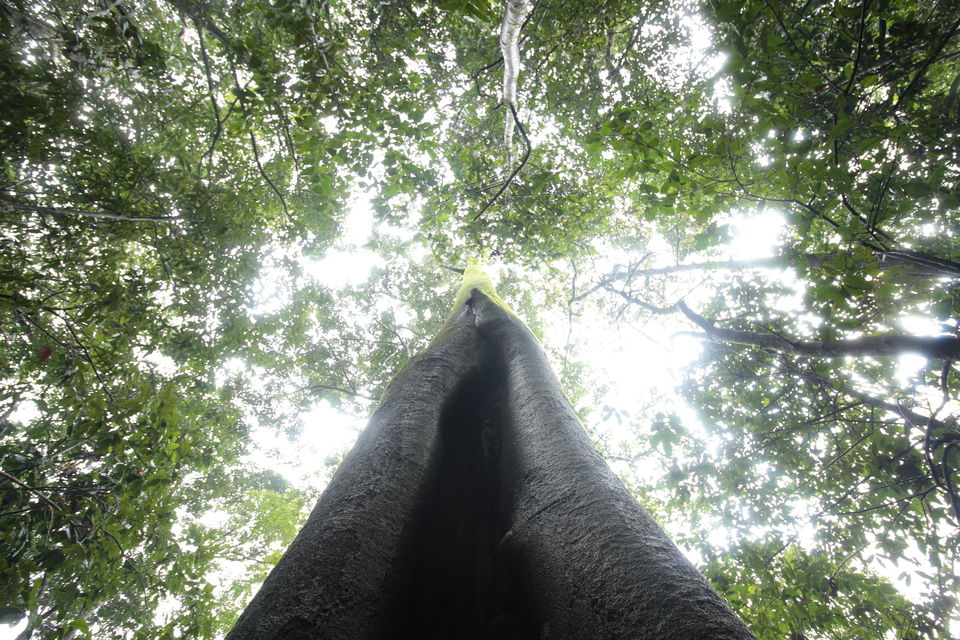 Photo of Magic of the Charmadi Ghats: My Monsoon Trek to Eri Kallu 6/17 by Hrishikesh Baruah