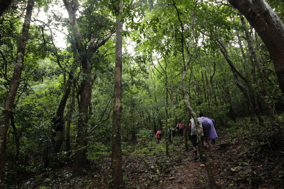 Photo of To The Jasmine of the Hills: My Monsoon Trek to Kodachadri & Kavaledurga Fort 2/5 by Hrishikesh Baruah