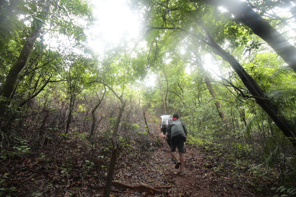 Photo of To The Jasmine of the Hills: My Monsoon Trek to Kodachadri & Kavaledurga Fort 3/5 by Hrishikesh Baruah
