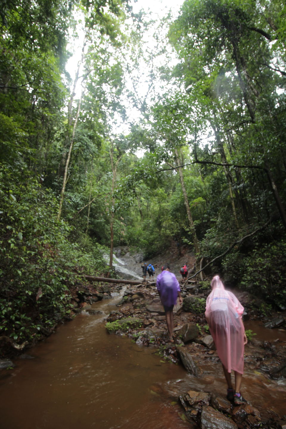 Photo of To The Jasmine of the Hills: My Monsoon Trek to Kodachadri & Kavaledurga Fort 4/5 by Hrishikesh Baruah